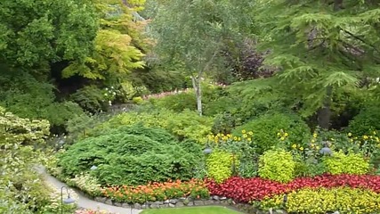 A Glimpse of the Beautiful Butchart Gardens Victoria Bc