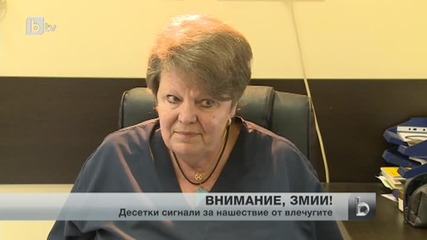 Десетки сигнали за нашествие на змии