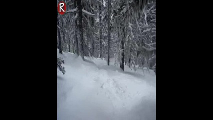 ski the best of lambov