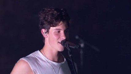 Shawn Mendes - In My Blood - Live Video Music Awards 2018