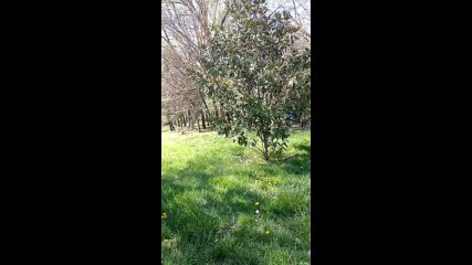 Vid_20230415_144959.mp4