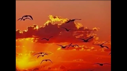 No Angels-still In Love With You