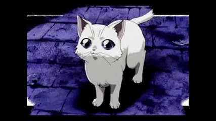 Every Anime Girl Needs a Kittie =^. .^= 