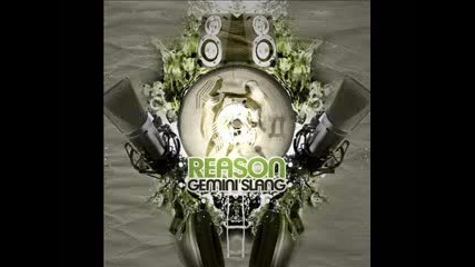 Reason - The Process 