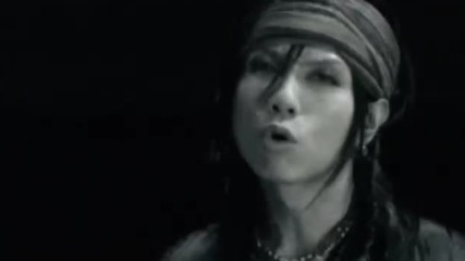 Acid Black Cherry - Re-birth