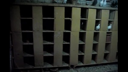Сунай Чаглар Турция