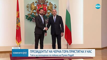Радев: Инсинуациите, че президентът саботира модернизацията на Българската армия, са силно некоректни