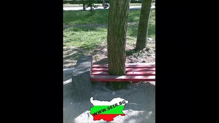 Българска Работа !