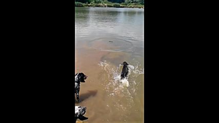 сетери на вода
