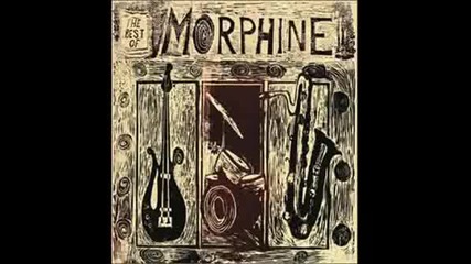 Roboky - Morphine People