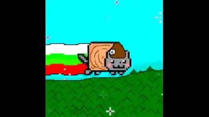 Bulgarian Nyan Cat