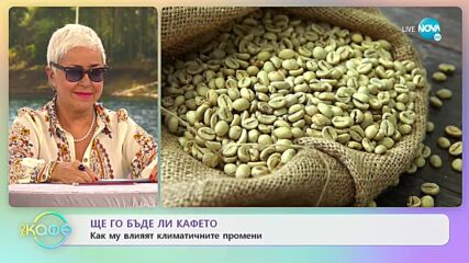 Ще го бъде ли кафето? Как му влияят климатичните промени? - „На кафе” (09.11.2021)
