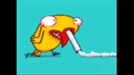 The best fuckin` video ever!