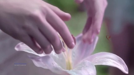 Richard Clayderman - Secret Garden