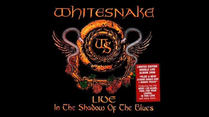 Whitesnake - Live: In the Shadow of the Blues 2006 (full album with bonus tracks )