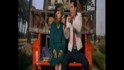 elvis presley-ia ia io