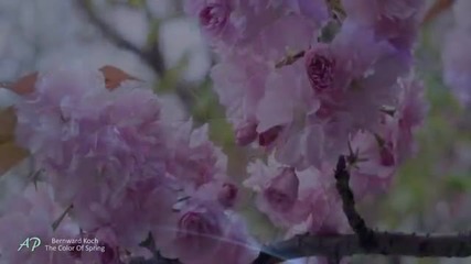 Честита Първа Пролет