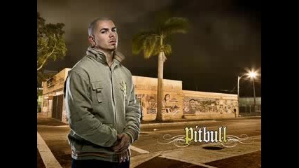 Pitbull Feat. Young Black - Roll With Gee 