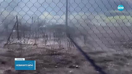 Пожар изпепели три вили, пчелин и 200 дка в Пазарджишко