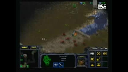 Nate Msl Полуфинал flash vs kwanro game 1