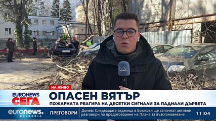 Видео - (2023-01-18 13:54:02)