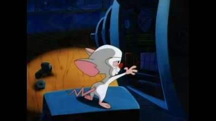Pinky And The Brain - Sample 3
