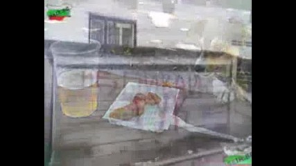 България
