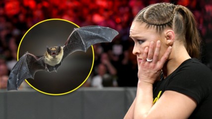 Ronda Rousey meets a bat at ringside during Raw