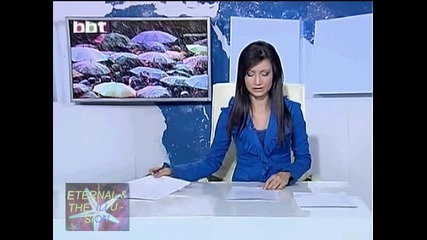 ! В Бг 3 - ма загинали, 19 тежки катастрофи, 25 юли 2010, Bbt Новини 
