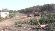 Пожарите в Турция са изпелили 407 къщи, 17 сгради и 96 обора