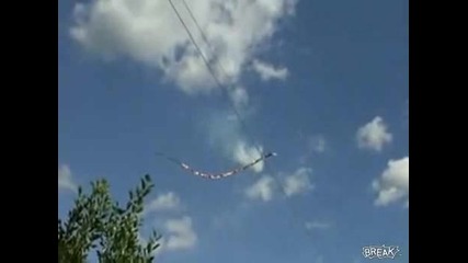 Дърво на жицата за ток 