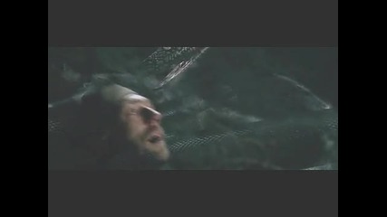 Shaman's Trance