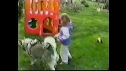 Смях..кучета и хора... 