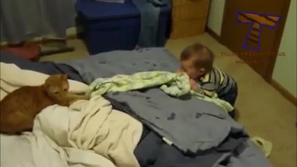 Funny cats and babies