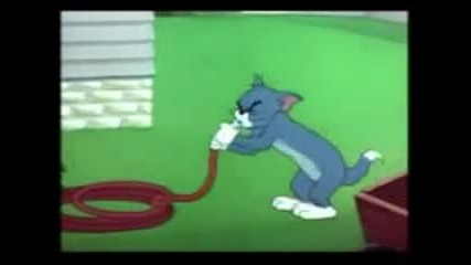 Tom And Jerry Parodiq 