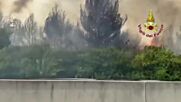 Четири жертви на пожарите в Италия