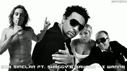 Bob Sinclar & Sahara ft Shaggy - I Wanna 
