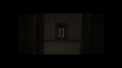 Kamelia - Falshiva koja