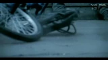 Barodius- Angels