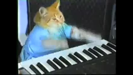 Мис Унсс