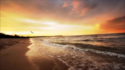 Fimos - Sunny Beach (original Mix)
