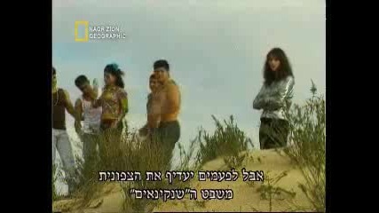 Хората са като животните