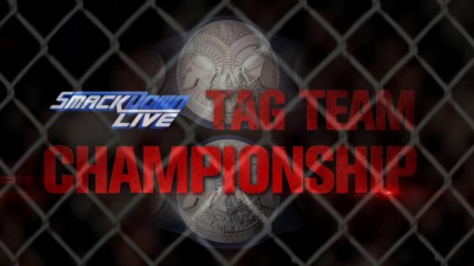 SmackDown Tag Team Champions The New Day battle The Usos inside Hell in a Cell this Sunday