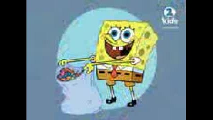Sponge Bob