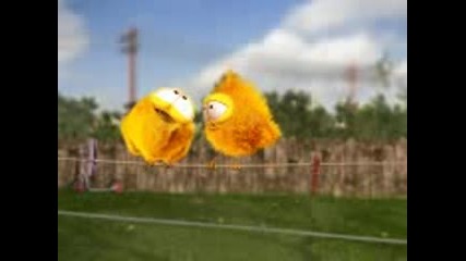 Litle Bird