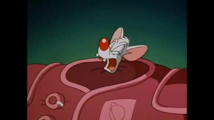 Pinky and the Brain,ep.11