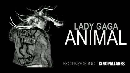 ( Цялата песен ) Lady Gaga - Animal 2011 (текст) 