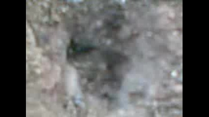 Видео000.3gp