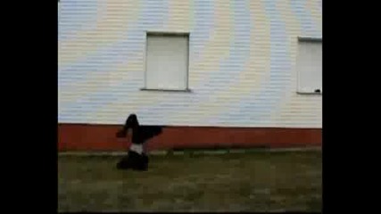 Рисковете На Parkour