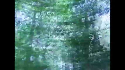 Disorder - System of a down horror movie